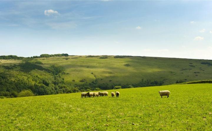 Zeal Farm Bed & Breakfast Dulverton Eksteriør bilde