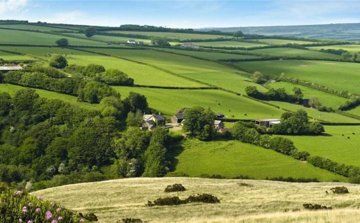 Zeal Farm Bed & Breakfast Dulverton Eksteriør bilde