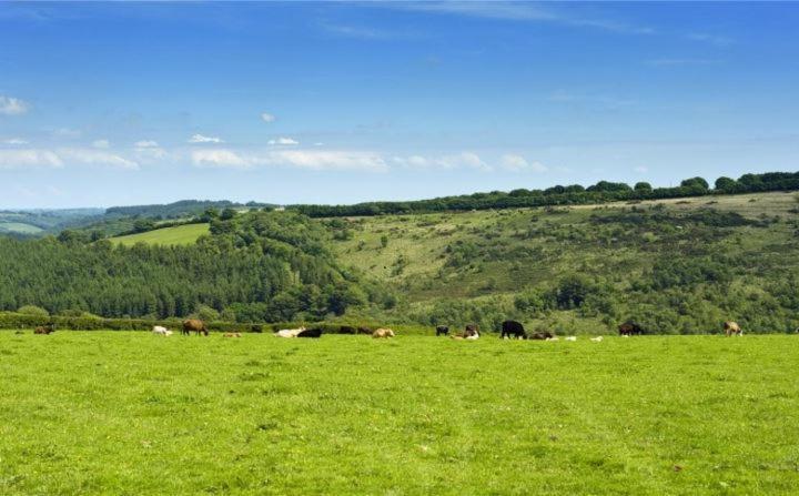 Zeal Farm Bed & Breakfast Dulverton Eksteriør bilde